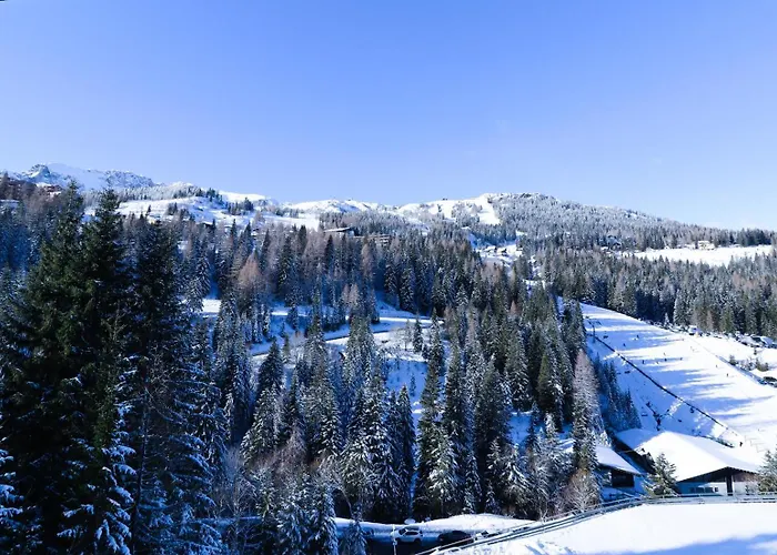 Bis 8 Personen Direkt An Der Skipiste Familienfreundlich , Summer World זוננאלפה נאספלד